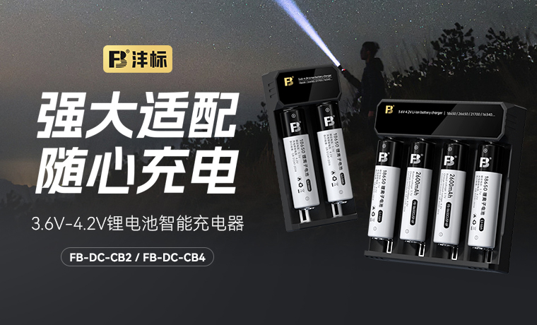 FB-DC-CB2 / FB-DC-CB4  3.6V-4.2V锂电池智能充电器